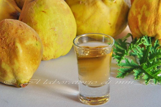 Ricetta Ratafià Di Mele Cotogne – Bevande
