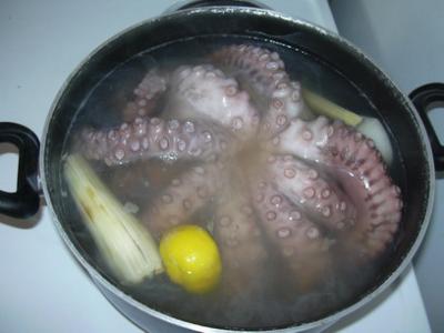 Ricetta Polipo Lessato – Pesce