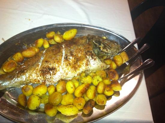 Ricetta Dentice In Verde – Pesce