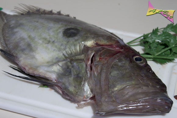 Ricetta Involtini Di Pesce San Pietro Al Forno – Pesce