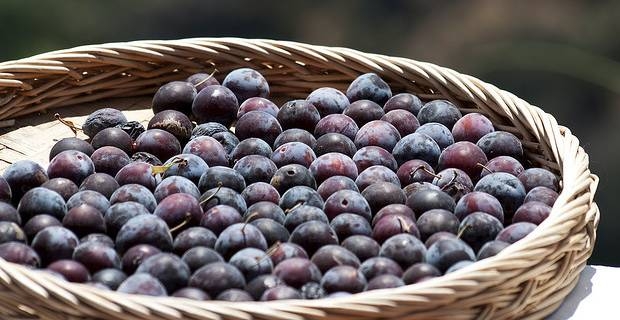 Ricetta Prugne Al Vino – Dessert