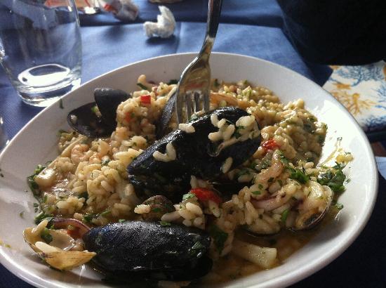 Ricetta Sedanini Alla Marinara – Primo