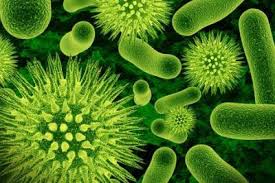 sostanze chimiche xenobiotiche