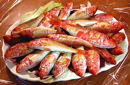 Ricetta Triglie Al Finocchietto – Pesce