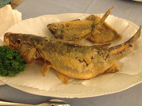 Ricetta Spigola Fritta – Pesce
