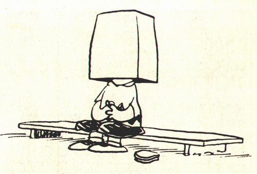 charlie brown sacchetto testa