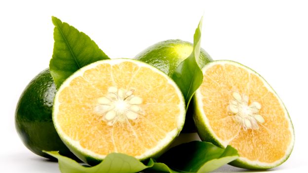 Fotolia 35671155 Subscription XL