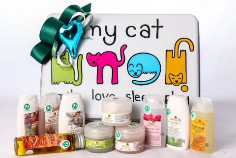 ?attachment id=20528