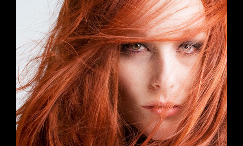 ?attachment id=19433