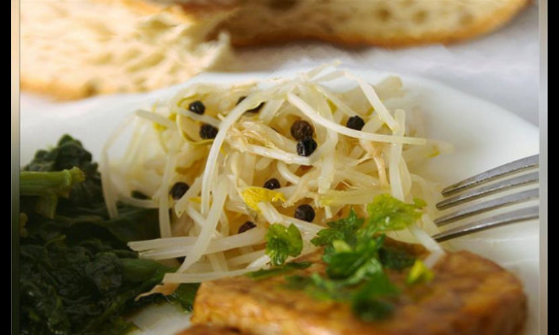 ?attachment id=19719