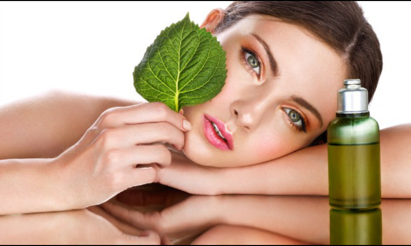 ?attachment id=20765