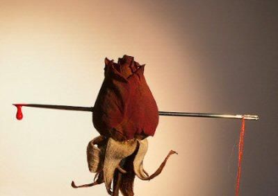 ?attachment id=19372