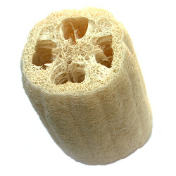 ?attachment id=20017