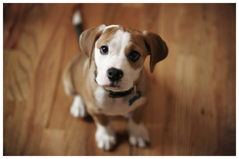 ?attachment id=22805