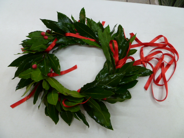 coroncina alloro laurea