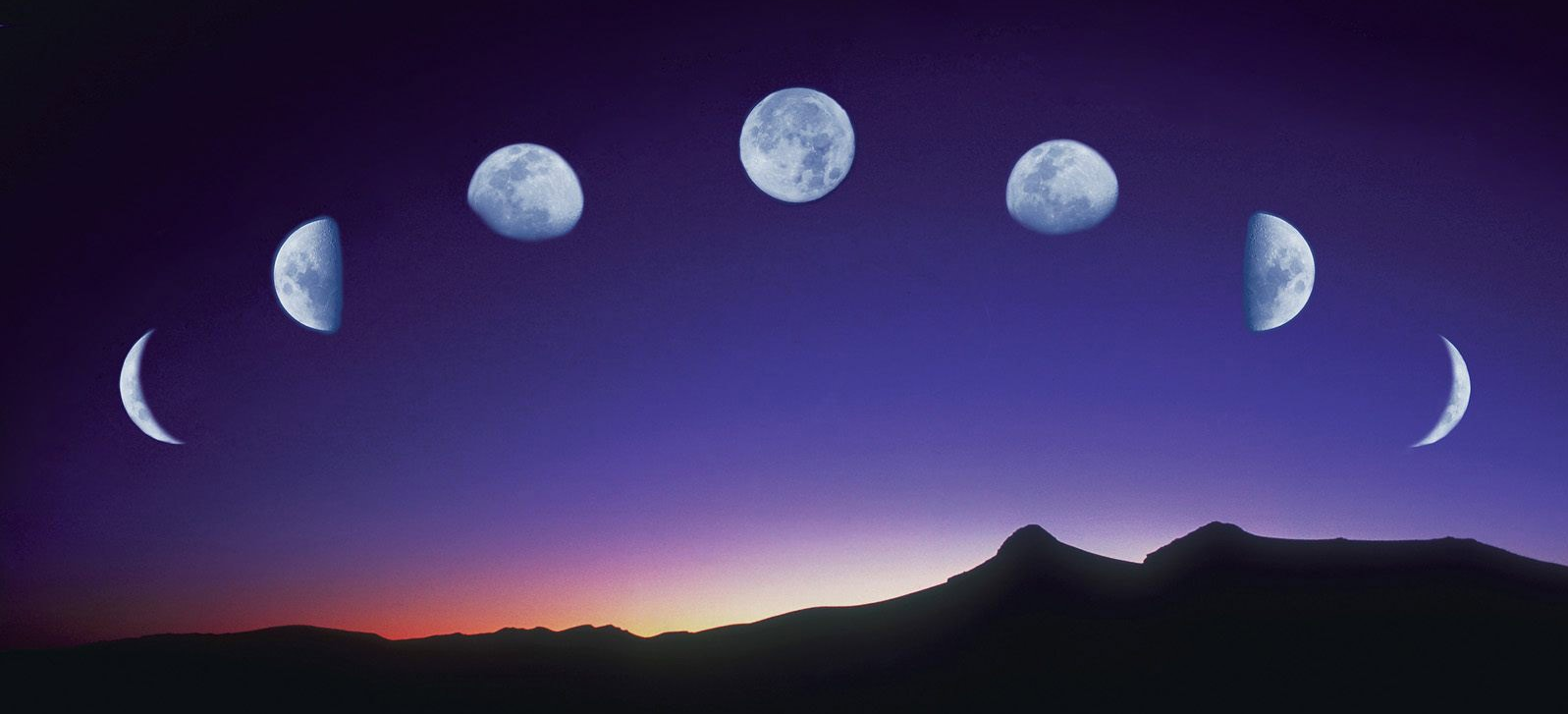 ?attachment id=24030