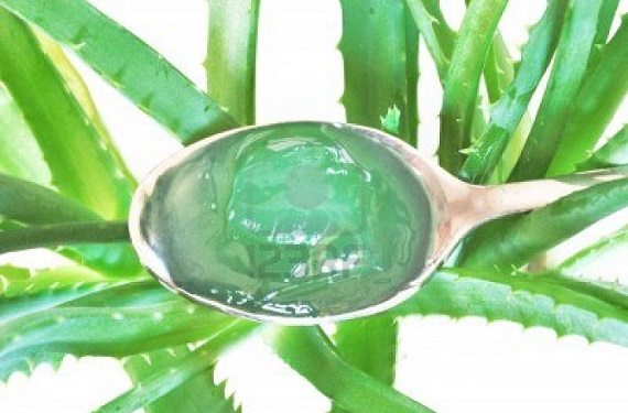 Come creare sapone fatto in casa Aloe Vera