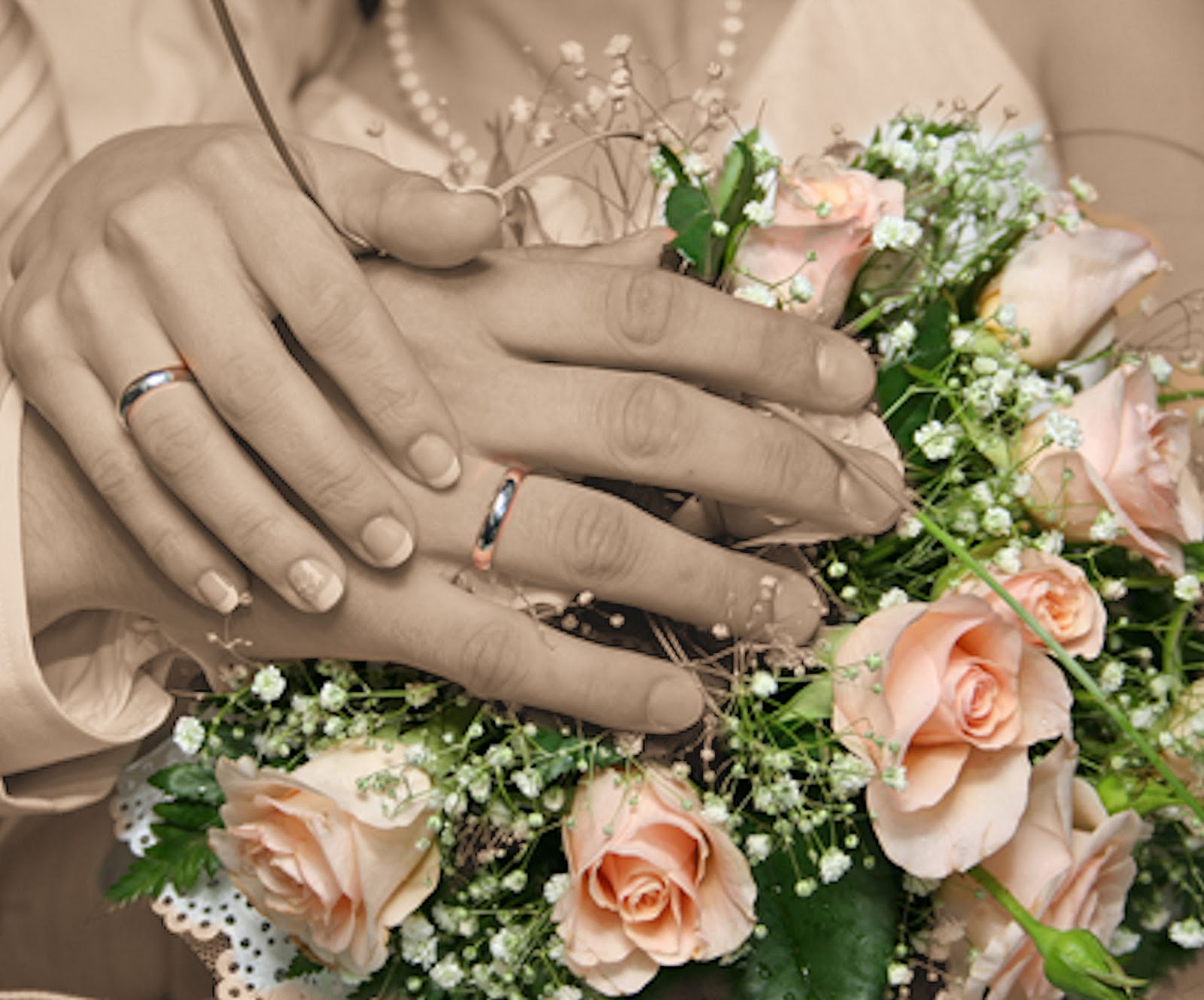 ?attachment id=24365