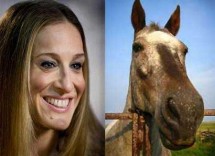 animals sally jessica parker