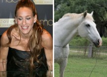 celebs that look like animals 640 04 cooked