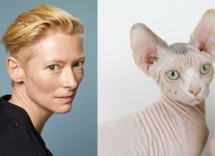 enhanced 21855 1423060100 1