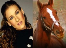 sarah jessica parker horse