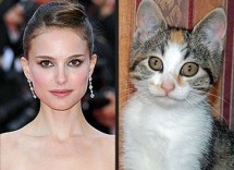 vip e animali separati alla nascita