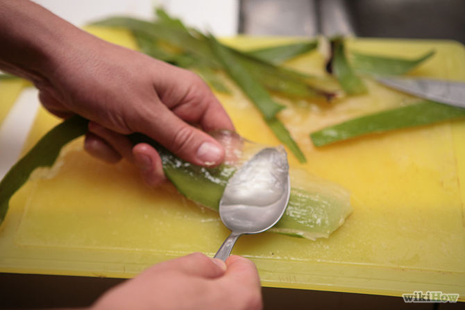 670px Make Aloe Vera Gel Step 3