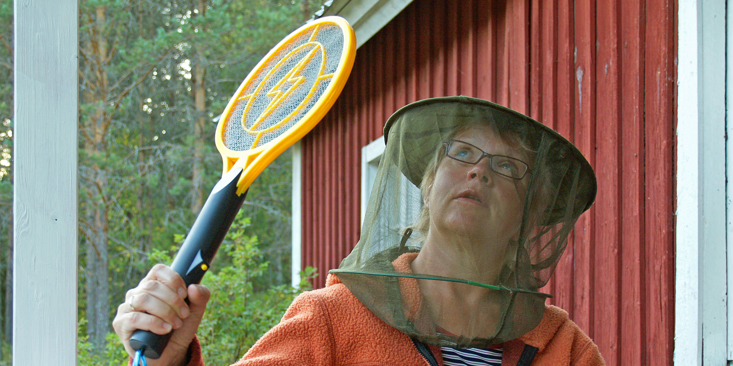 1376118013 zanzare e1436797432586