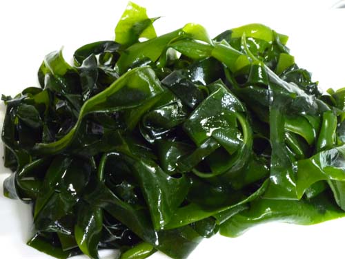 alga wakame