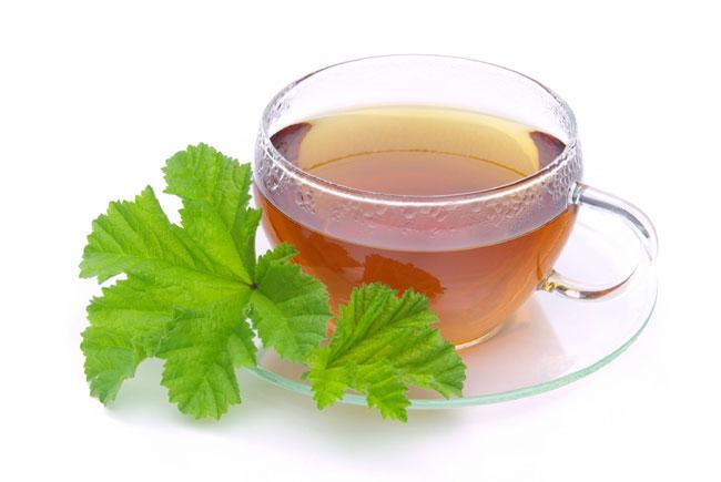Ricetta decotto malva rimedi naturali colite