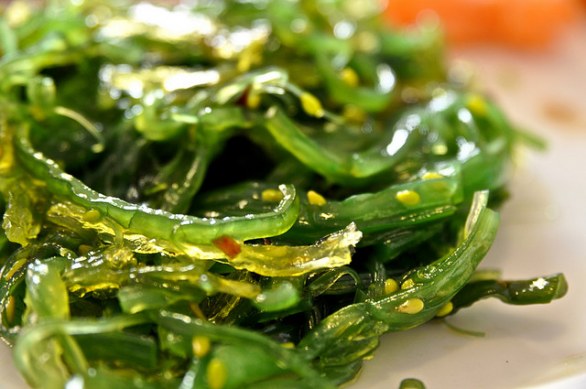 alga wakame
