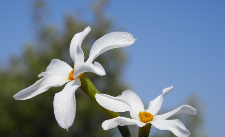 post 4368 1159189933 770x470