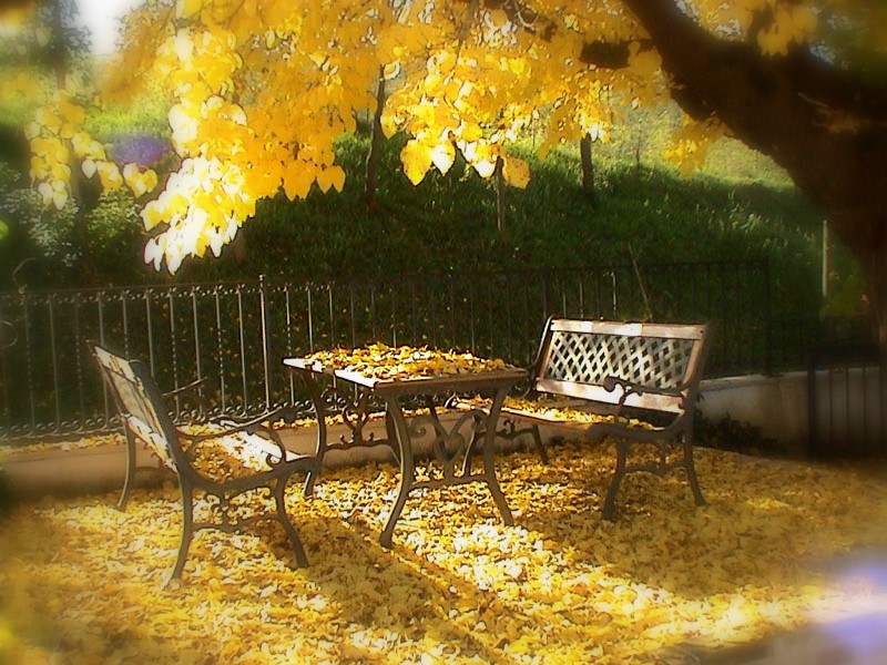 Fasi lunari per lavori giardinaggio novembre 2015