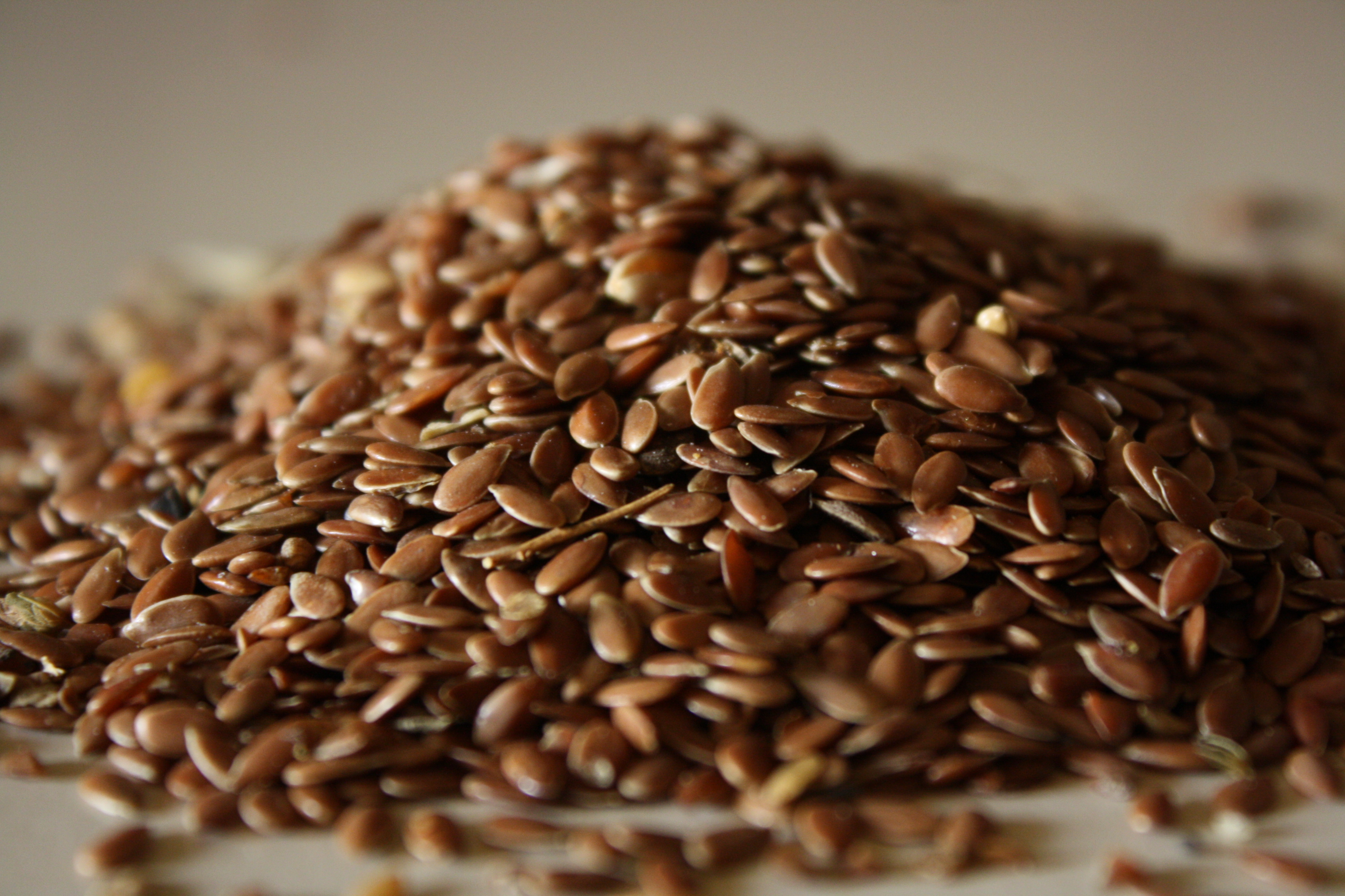 5 ricette fiori di semi di lino dorati