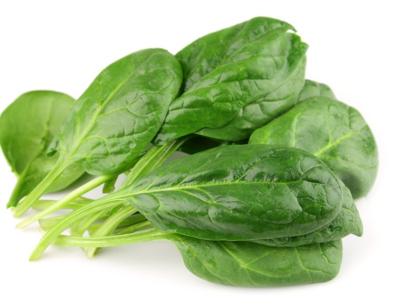Come coltivare gli spinaci in casa