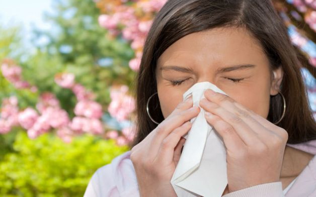 Bevande da evitare con allergia primavera graminacee