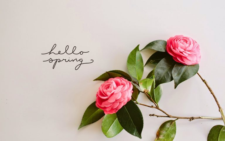 5 libri da leggere che raccontano la primavera 1