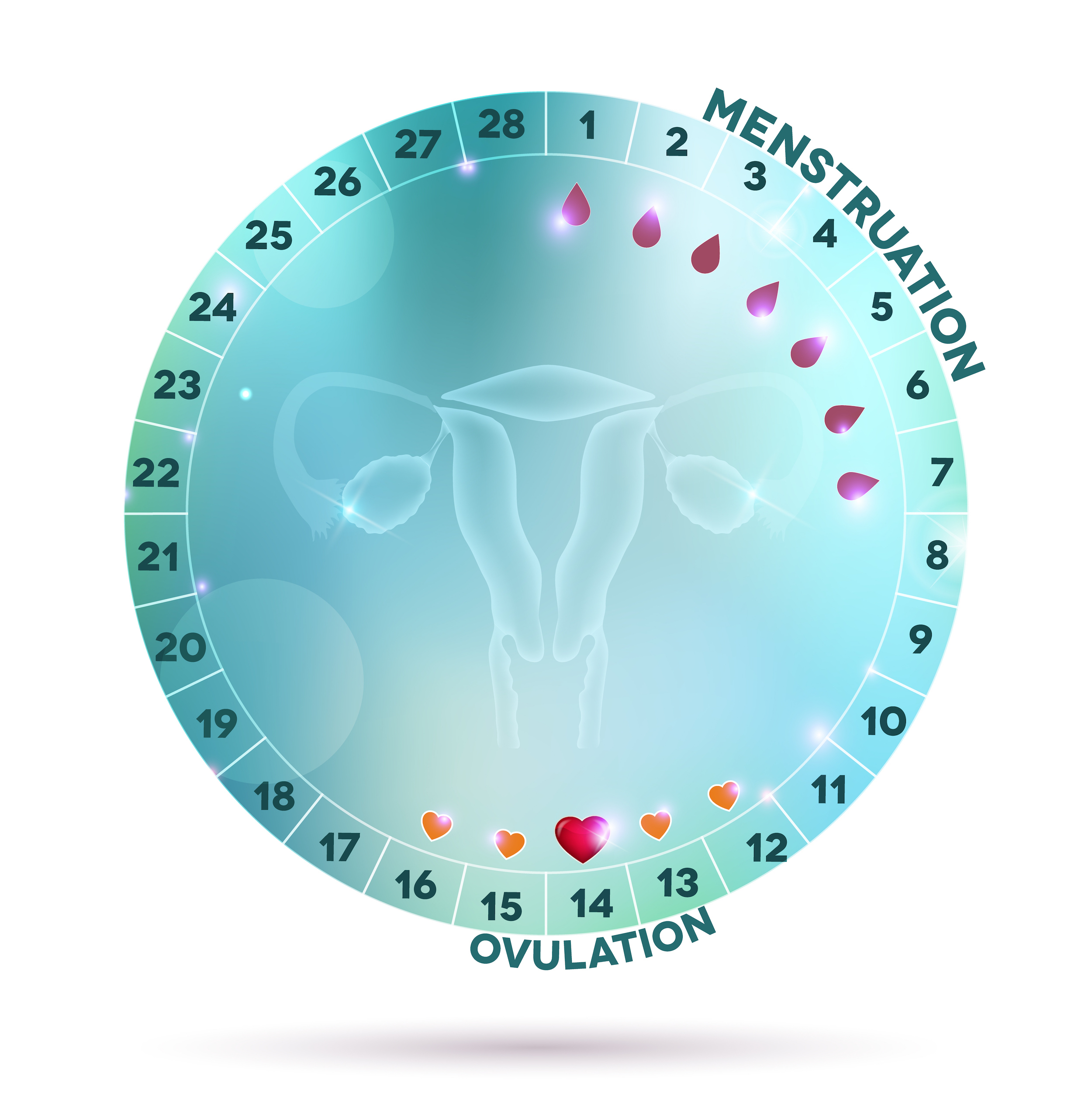 giorni fertili