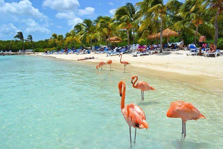 Flamingo Beach