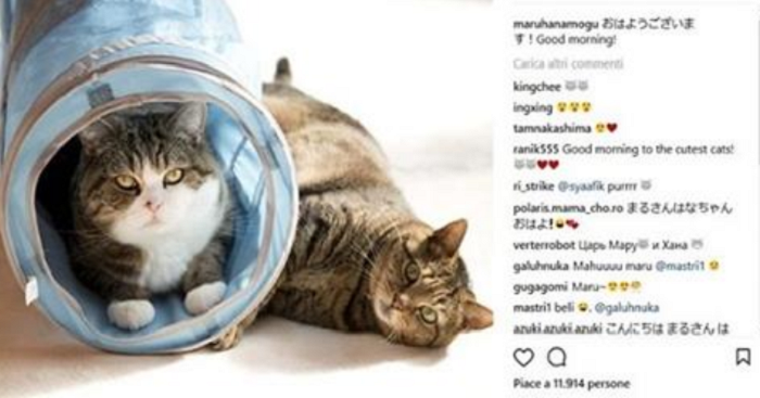 Social