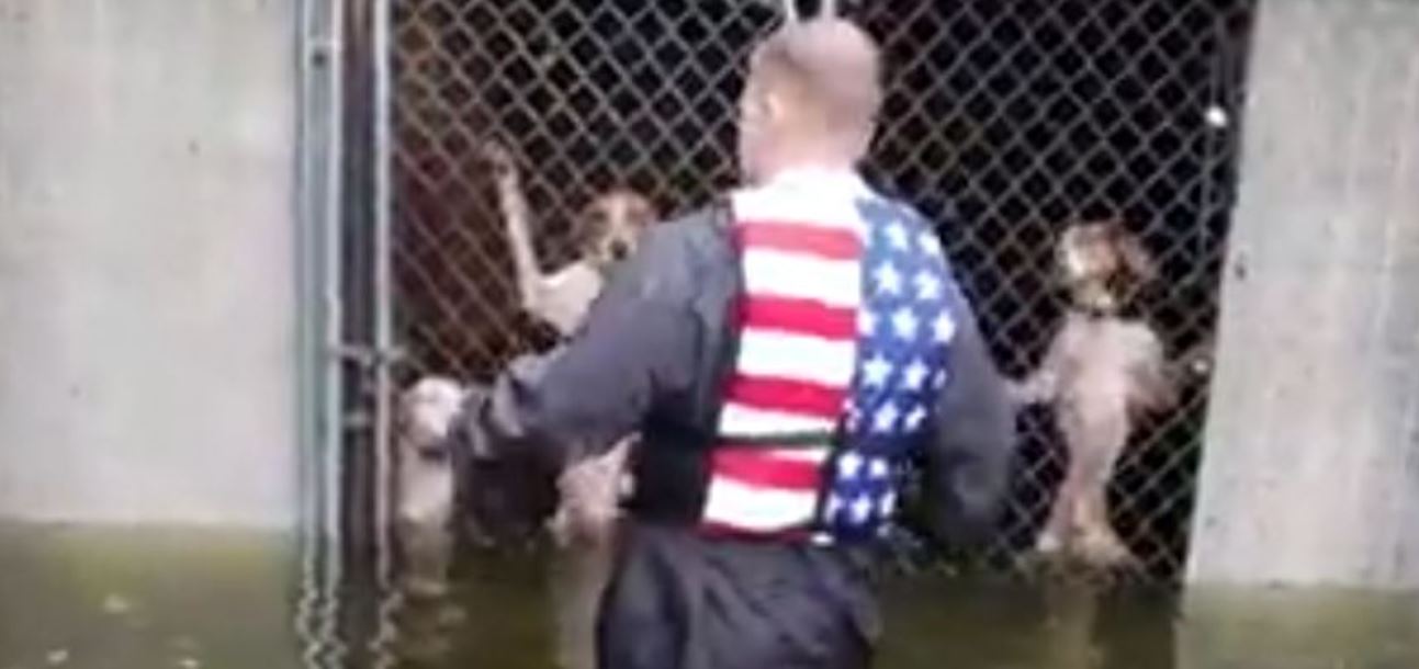 Uragano Florence: volontari salvano 6 cani chiusi in gabbia