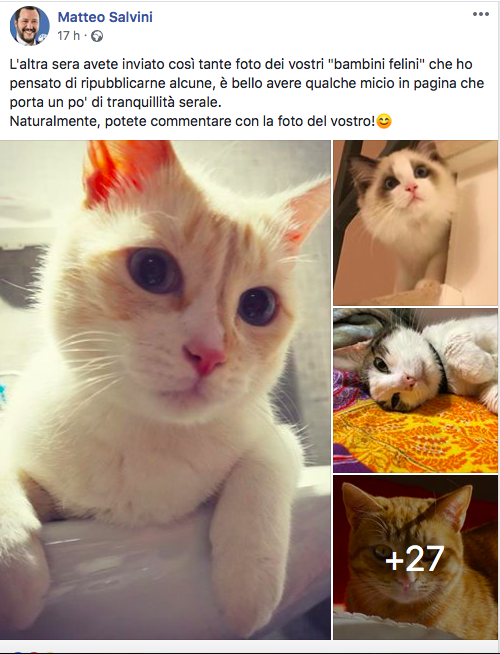 gattini Salvini