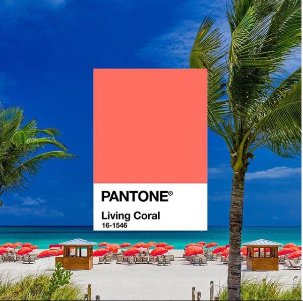 pantone 2019
