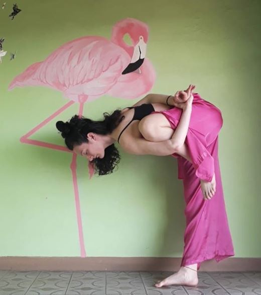 flamingo pose