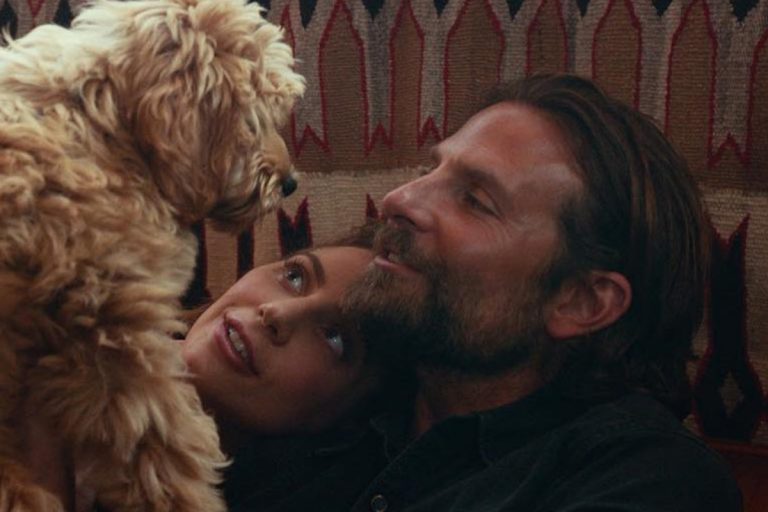 lady gaga bradley cooper convivono