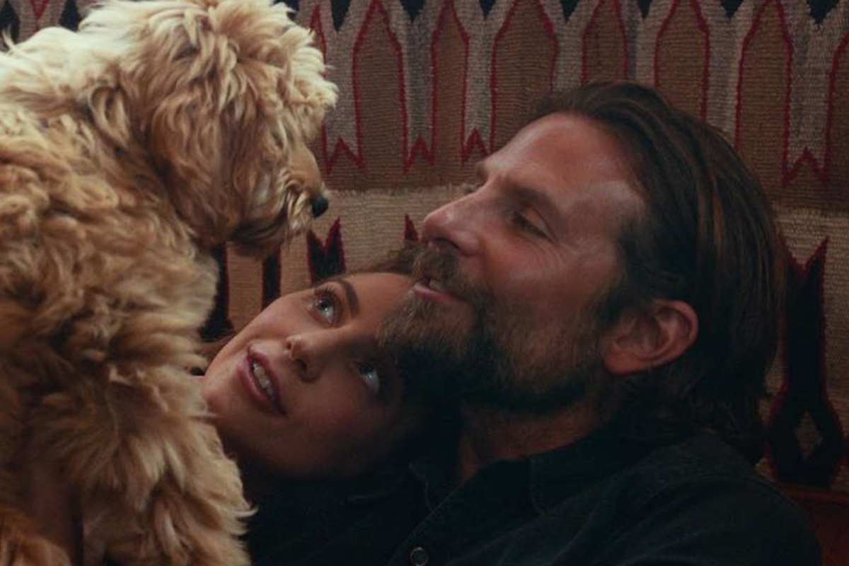 lady gaga bradley cooper convivono