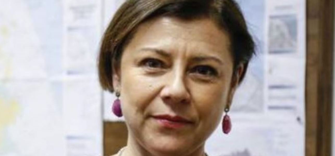 paola de micheli