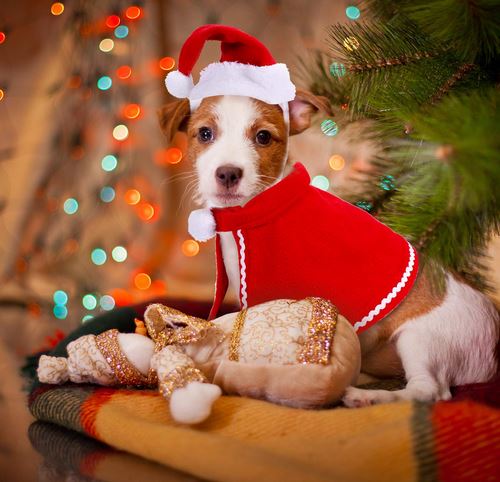 accessorio babbo natale