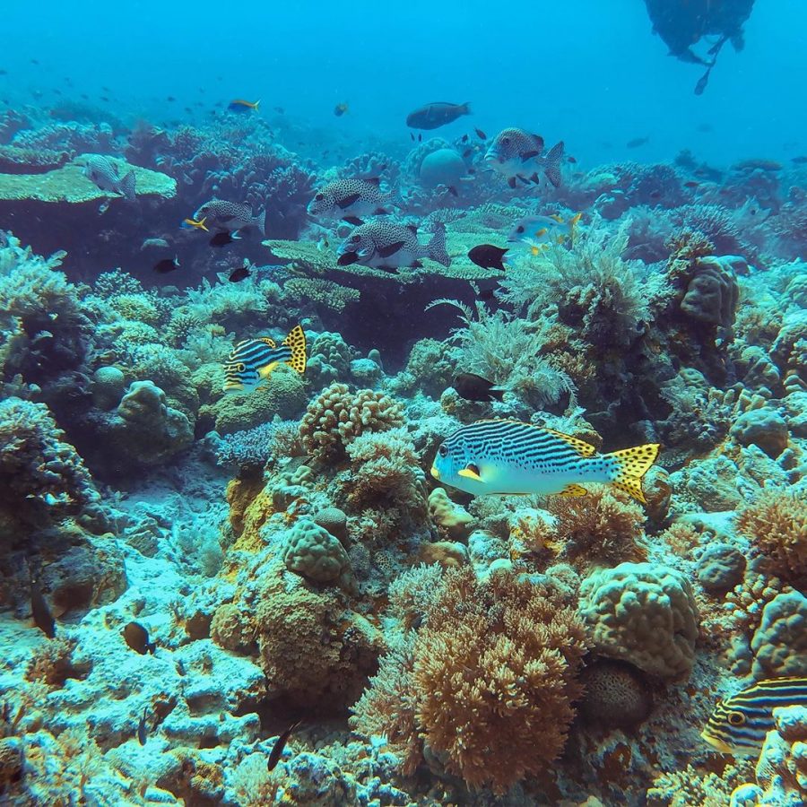 10 meraviglie del mondo da visitare a casa